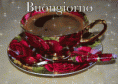 /album/galleria-foto-homepage4/gif-cana1-gif/